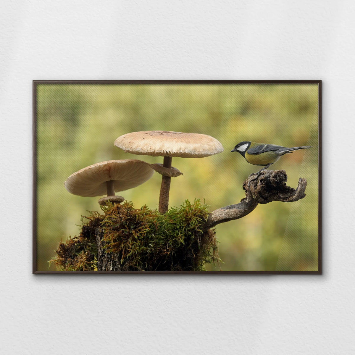 LWN120W080