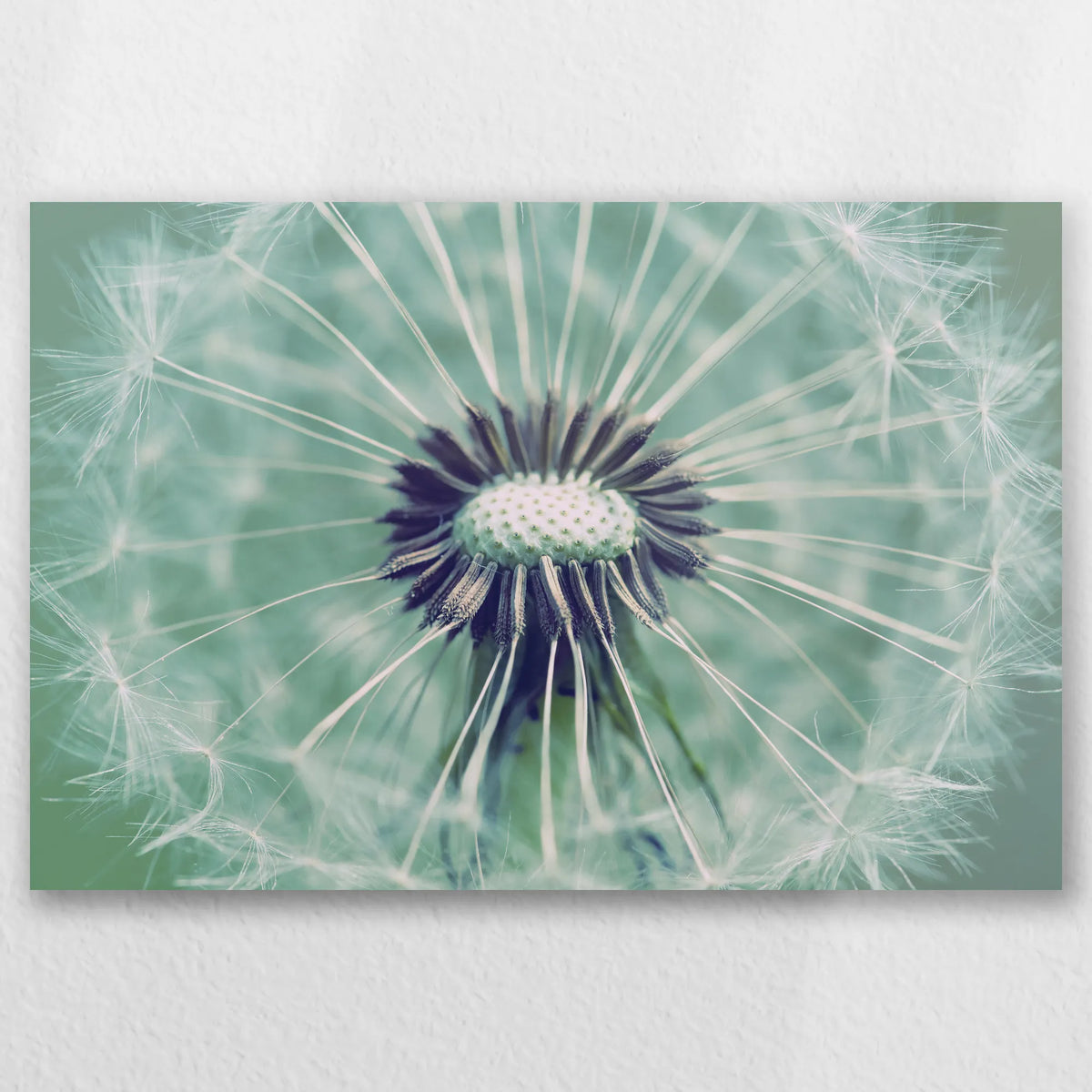 AL-030W020