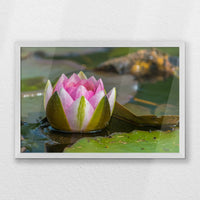 PW-060W040