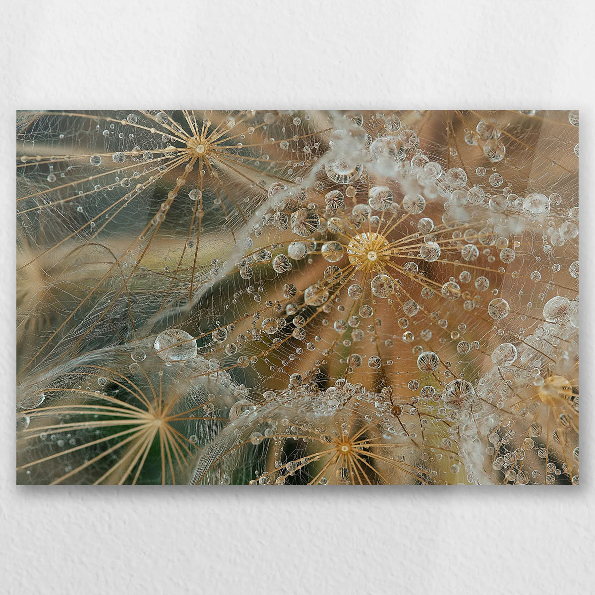 AC-045W030