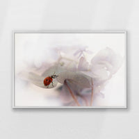 PW-100W070