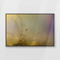 PB-093W062