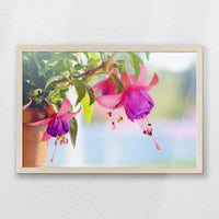 PN-060W040