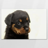 AC-120W080