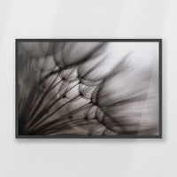 PK-093W062