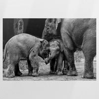 PO-120W080