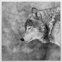AC-080W080