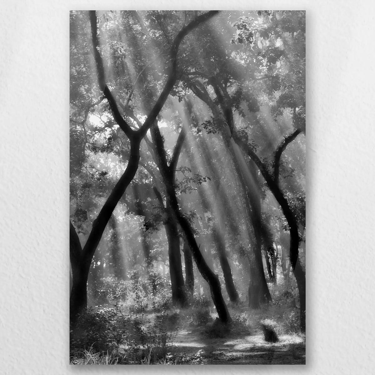 AC-030W045