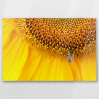 AC-060W040
