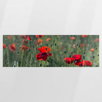 PO-120P040