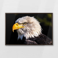 LWN100W070