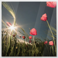 AC-090W090