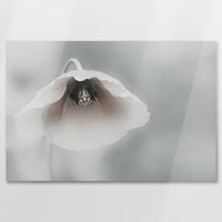 AC-090W060