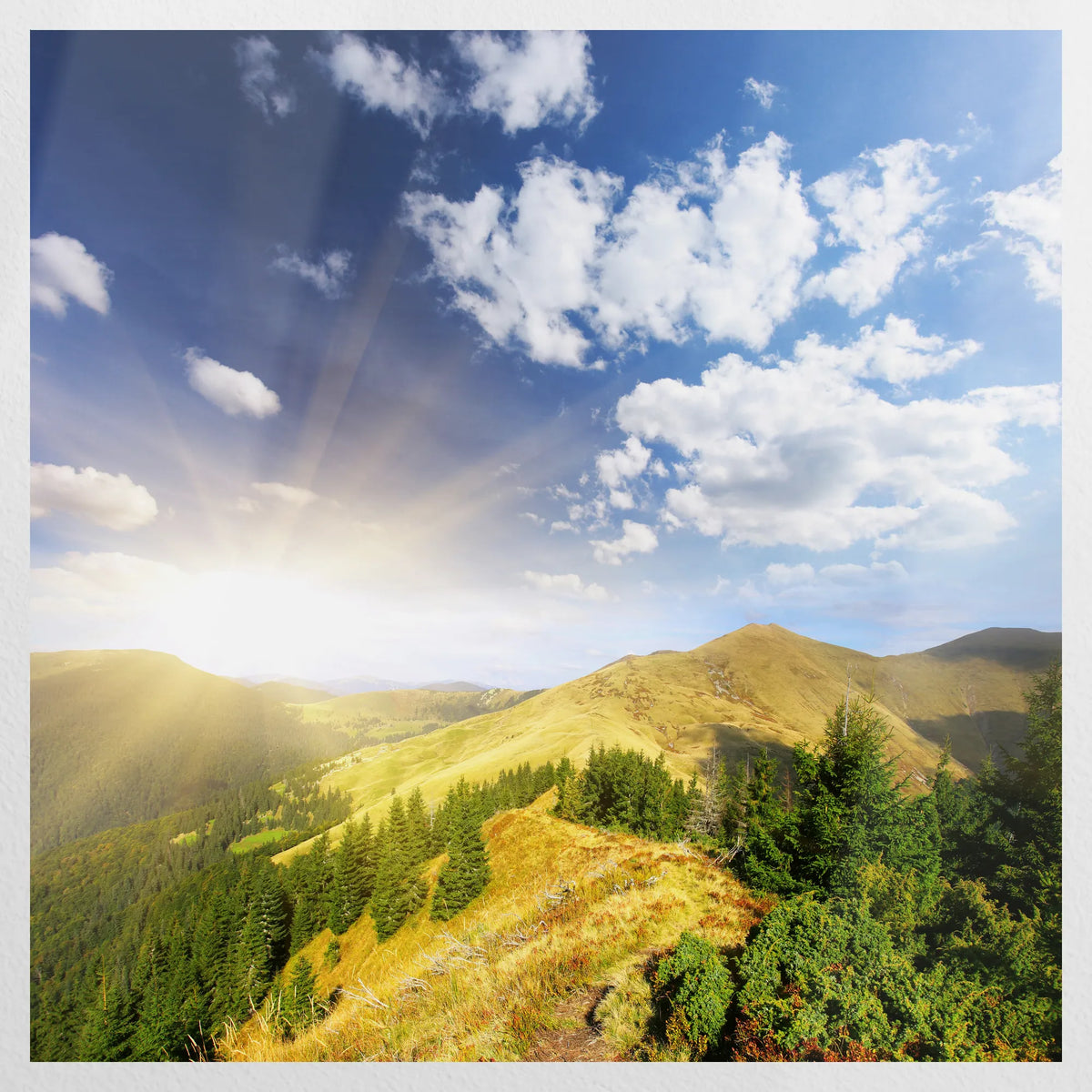 PO-090W090