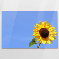 AC-090W060