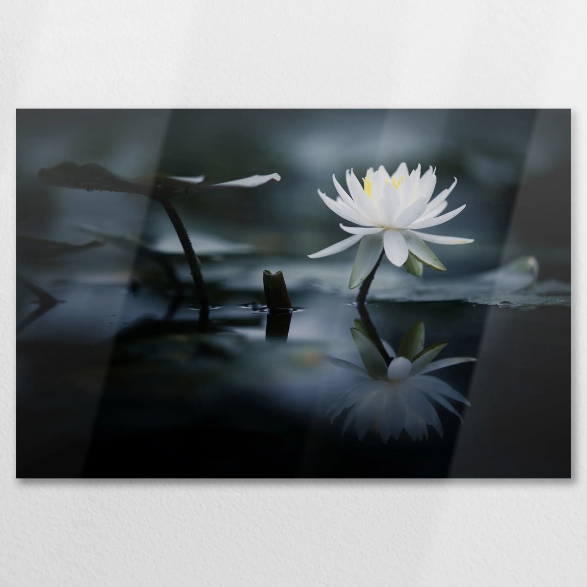 AL-075W050