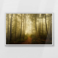 PW-093W062