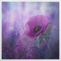 PO-070W070