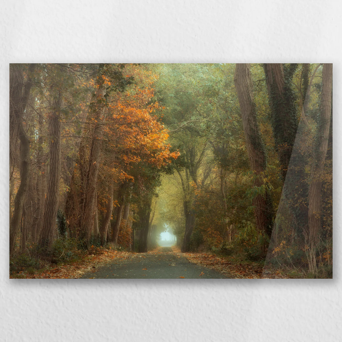 AC-060W040