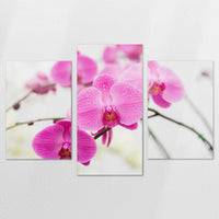 AC-180T120