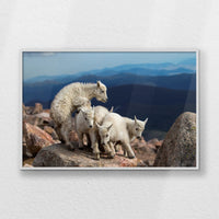 LWW120W080