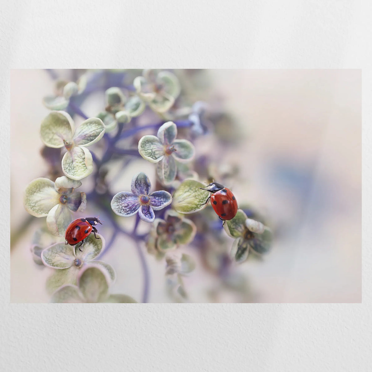 PO-120W080