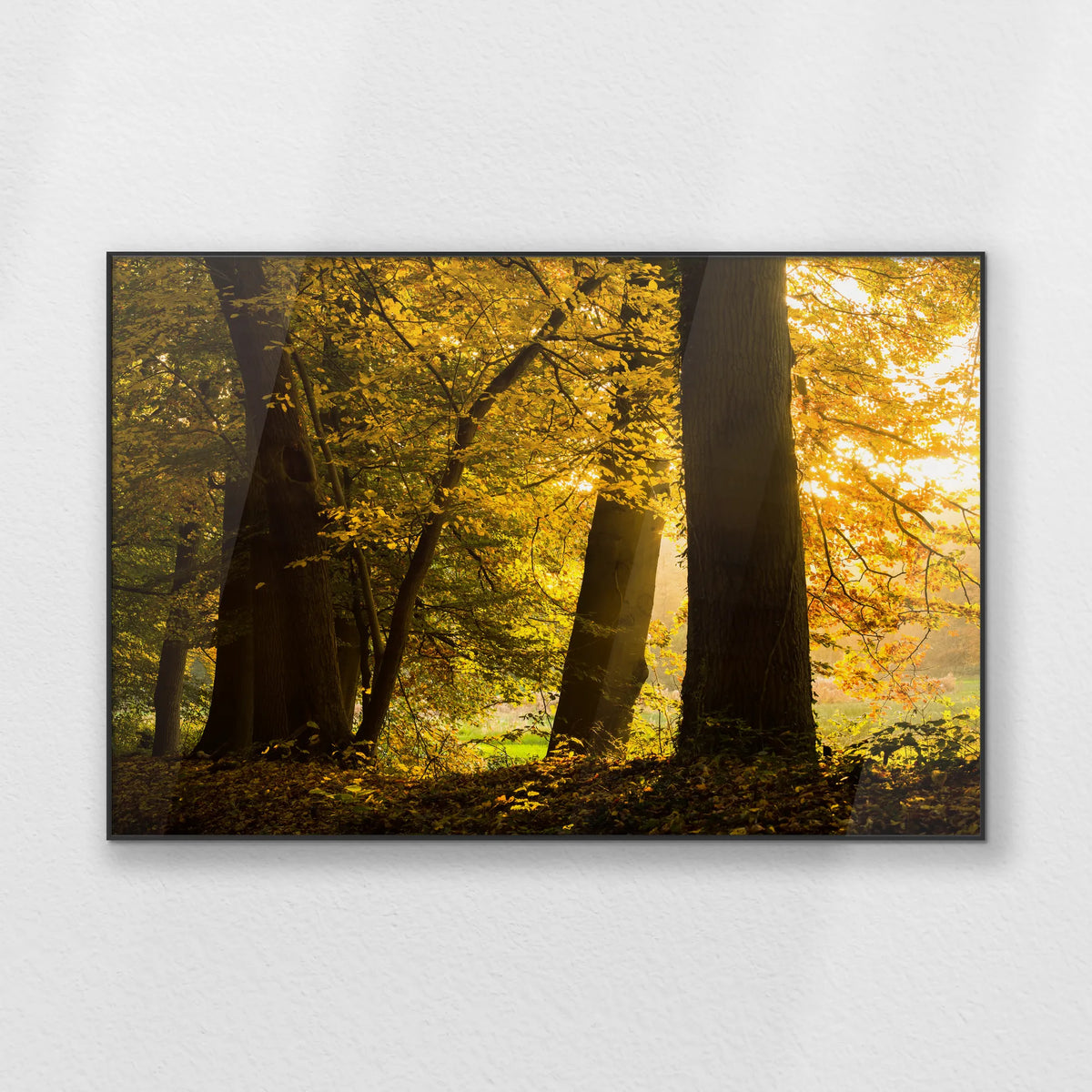 PB-120W080