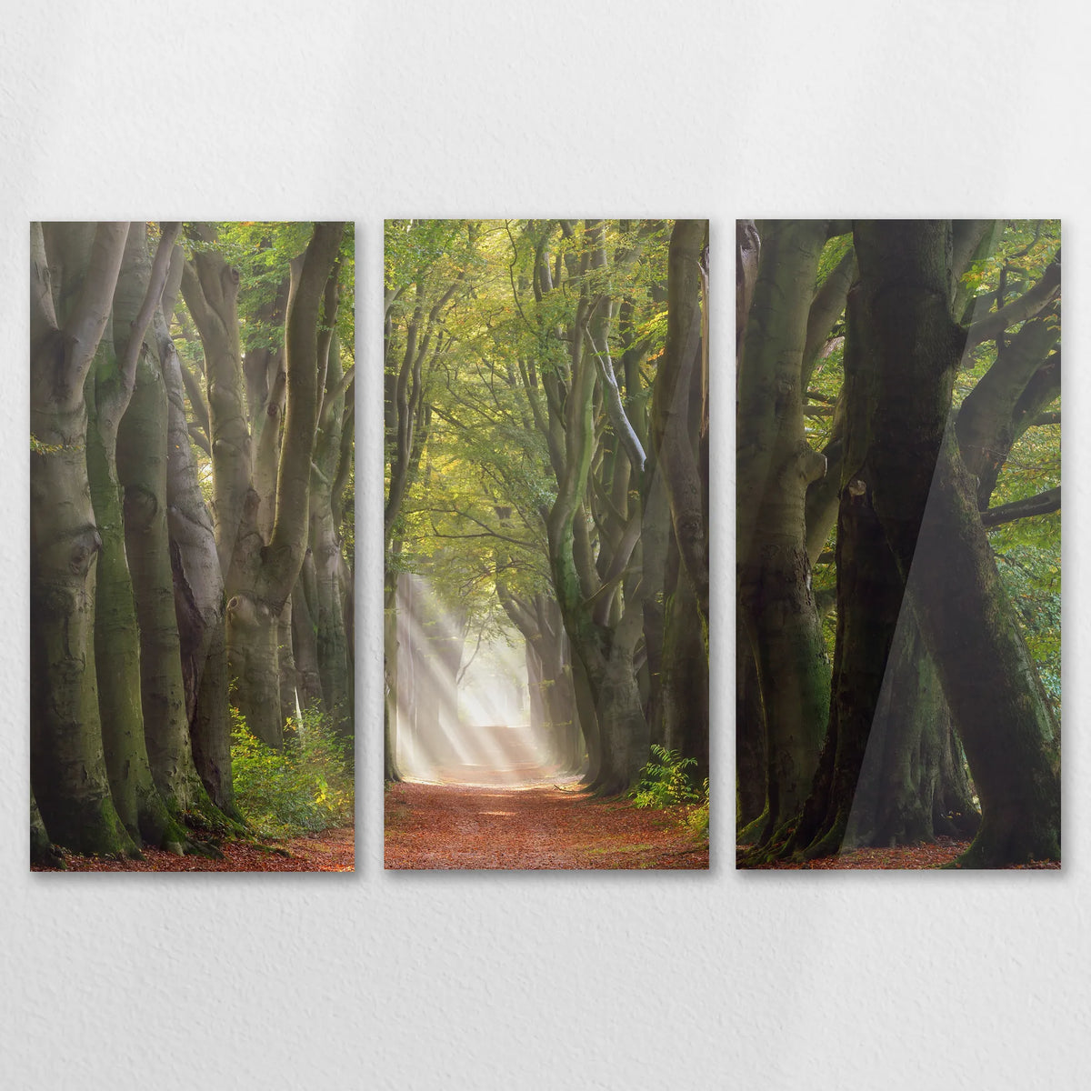 AC-150R100
