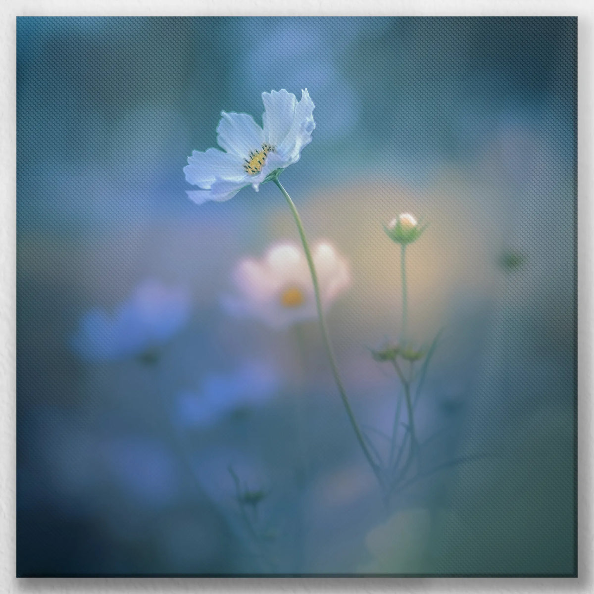 LW-050W050