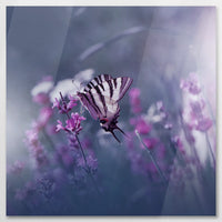 AC-090W090