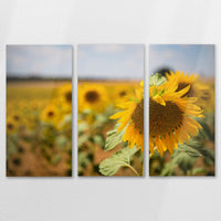 AL-120R080