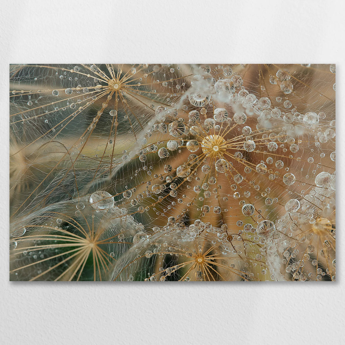 AL-075W050
