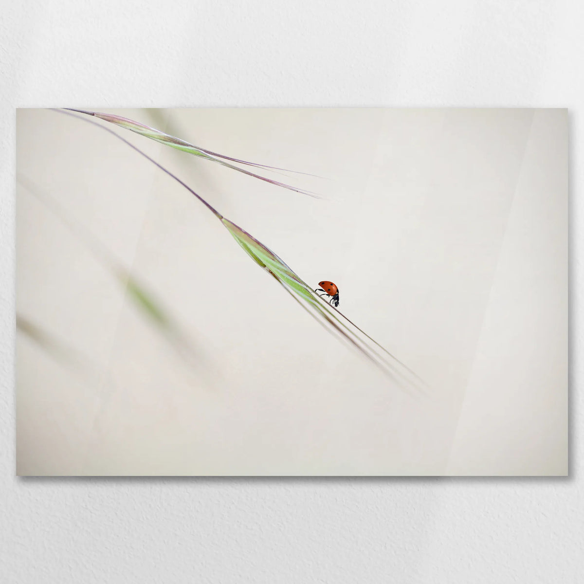 AC-090W060