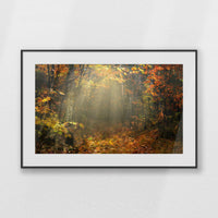 PBP093W062