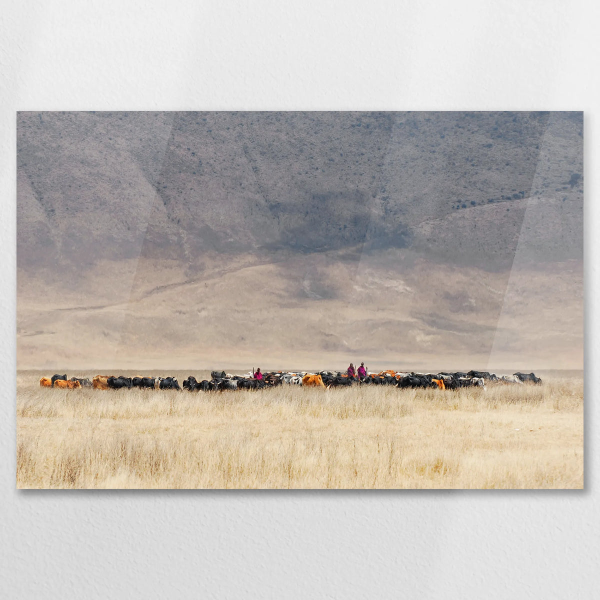 AC-075W050
