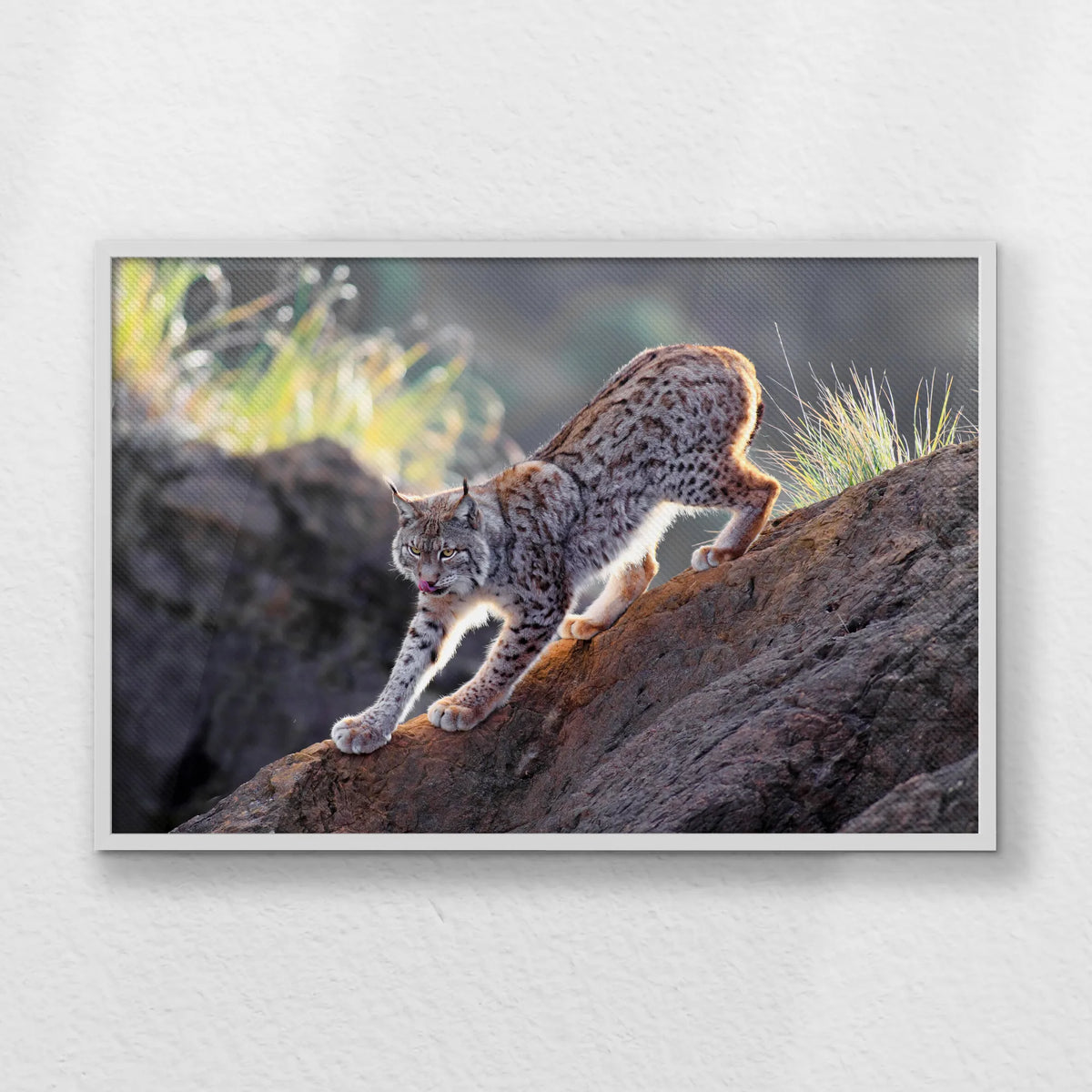 LWW100W070