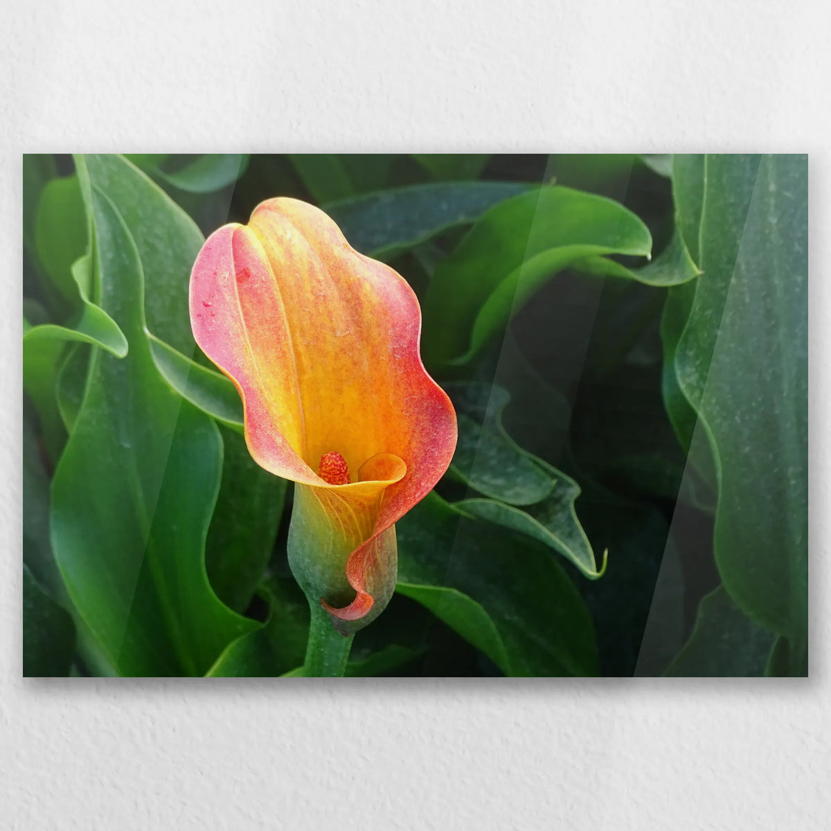 AC-060W040