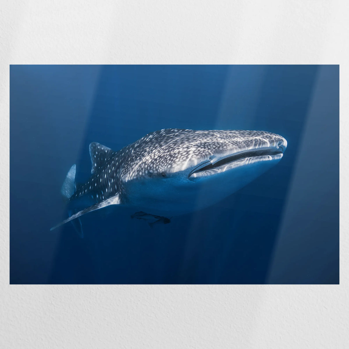 PO-075W050