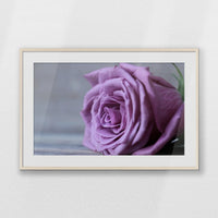 PNP100W070