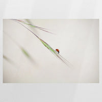 PO-120W080
