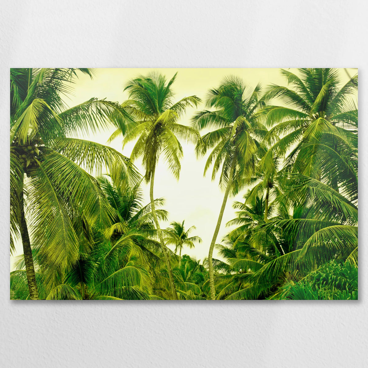 AL-075W050