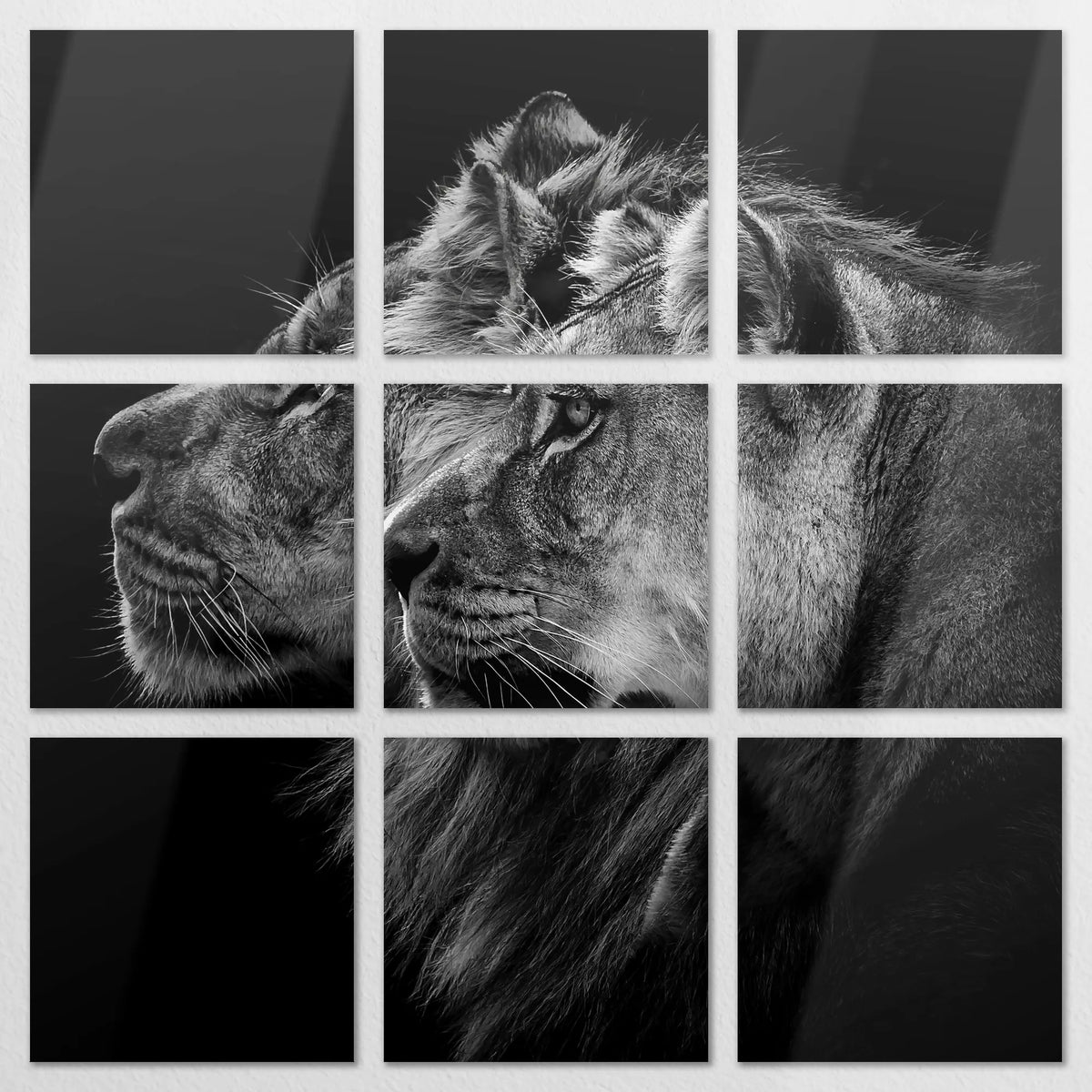AL-210Z210