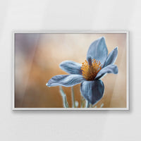 PW-093W062
