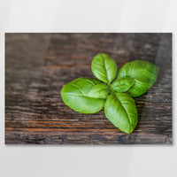 AL-075W050