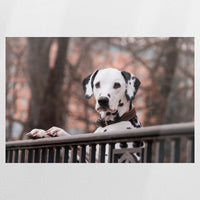 PO-090W060