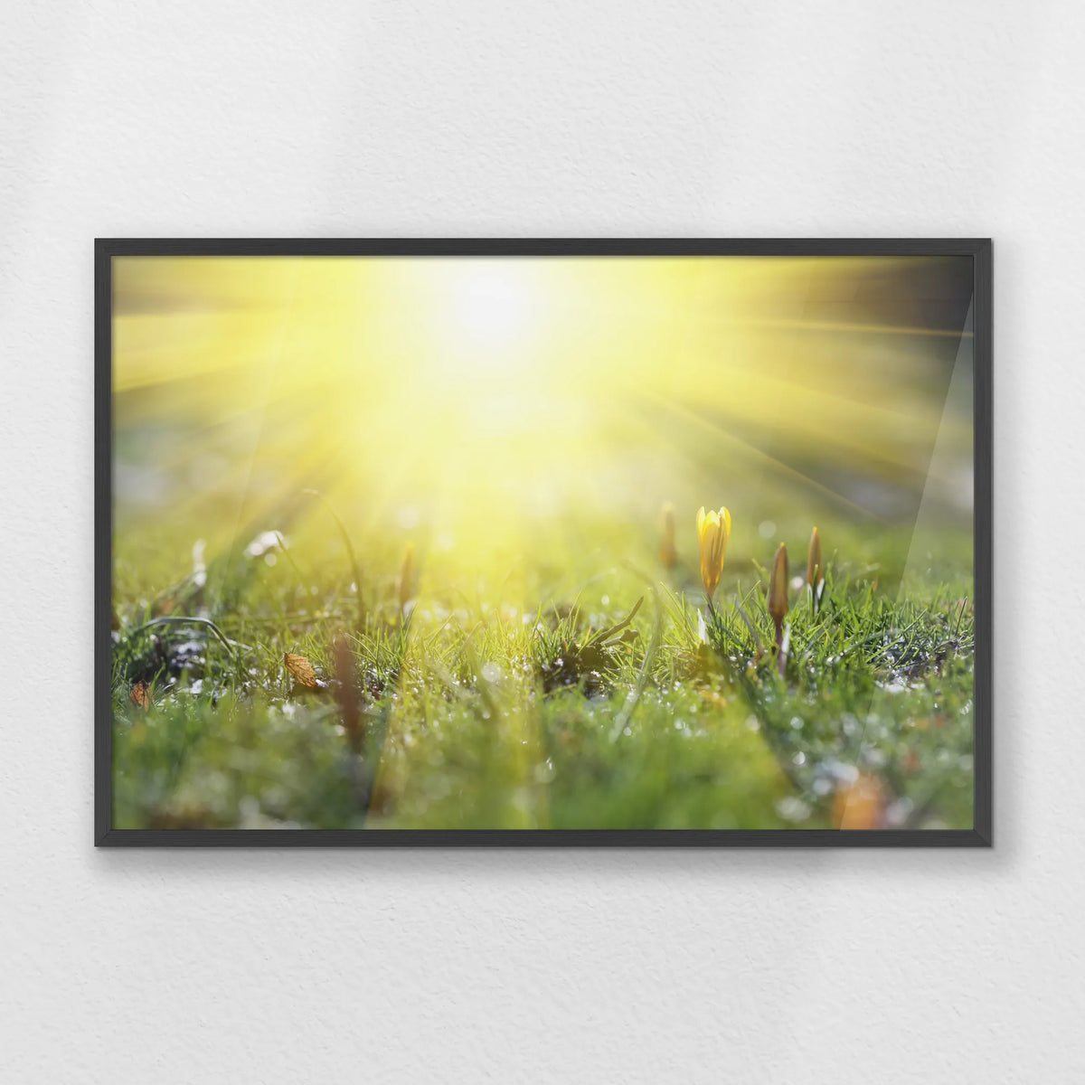 PK-093W062