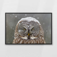 LWB120W080
