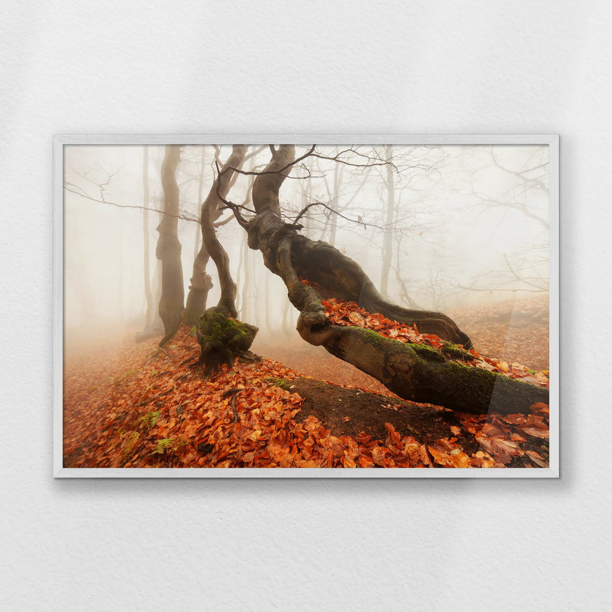 PW-093W062