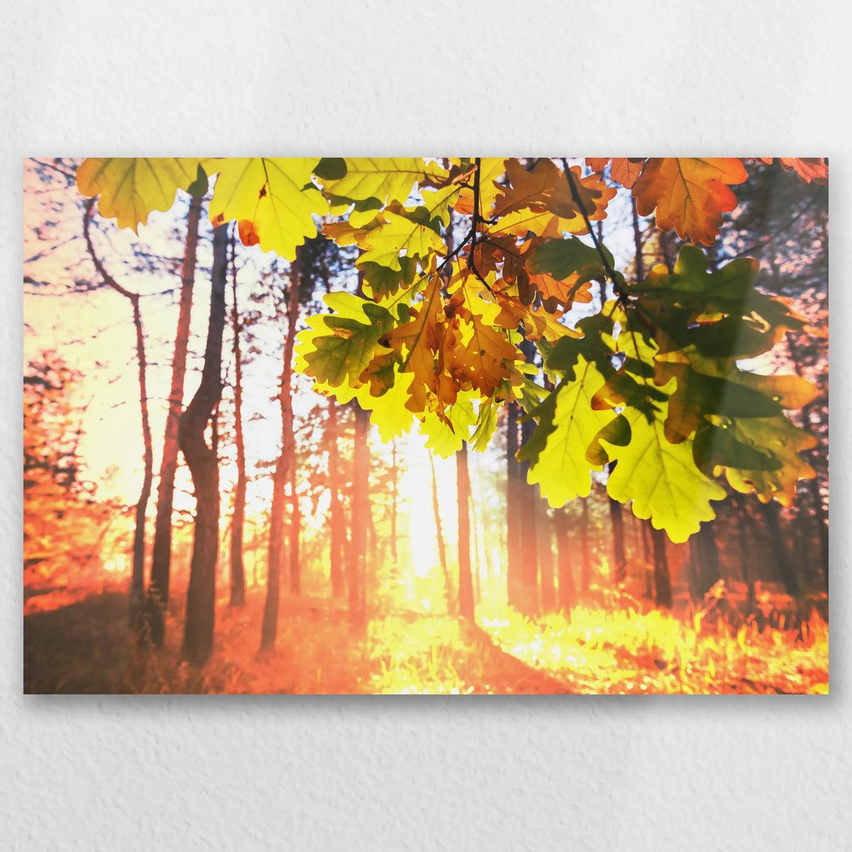 AL-030W020