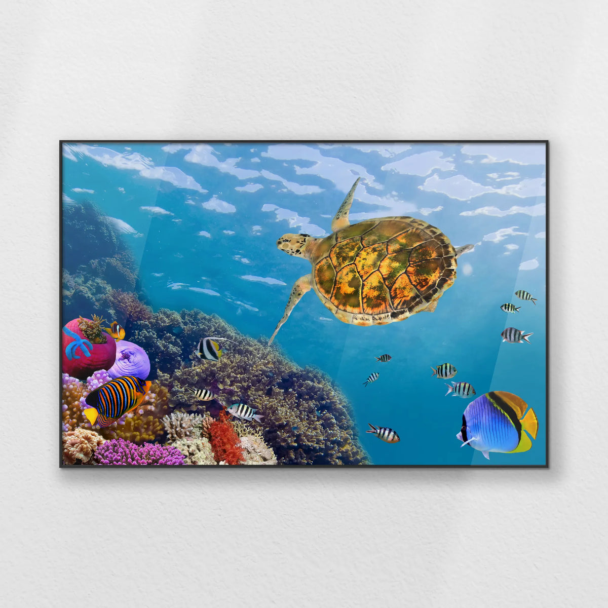 PB-120W080